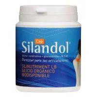 Silandol Plus Cápsulas